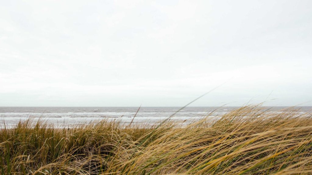 Multi-year guaranteed annuity MYGA explained video guide