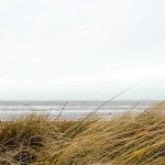 Multi-year guaranteed annuity MYGA explained video guide