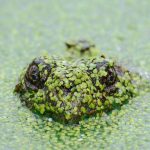 Nationwide CareMatters long-term care insurance announcement